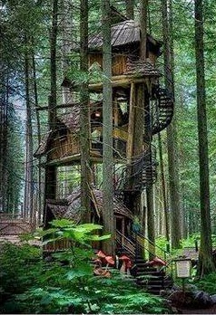Tree house