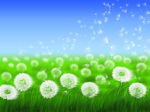 afterlife blessings hypnotherapy session