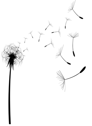 What are You Afraid of?