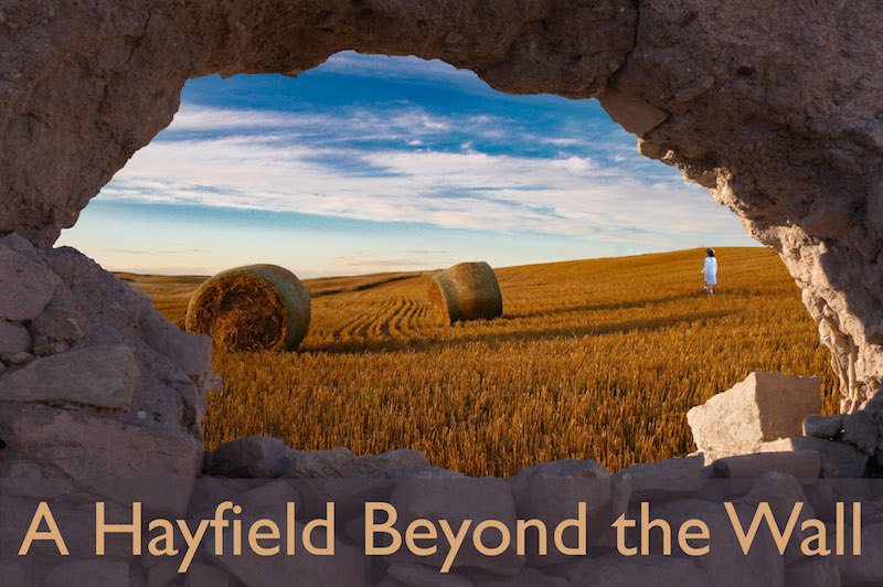 A Hayfield Beyond the Wall: Hypnosis for Suppressed Traumatic Memory Recall