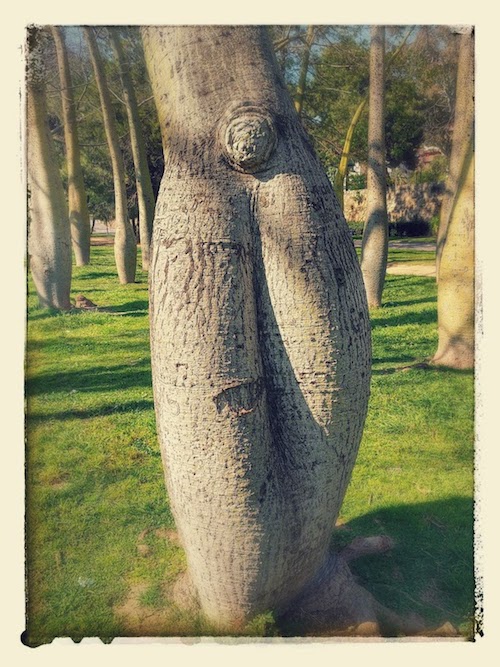 A Date From a Previous Lifetime