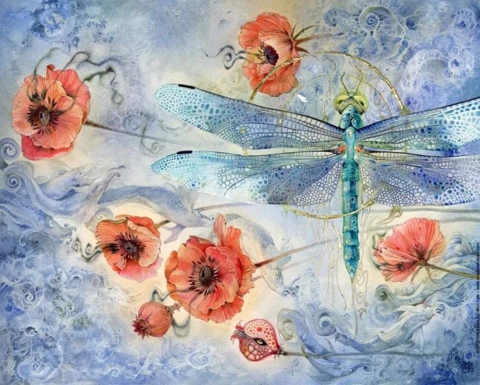 The Dragonfly